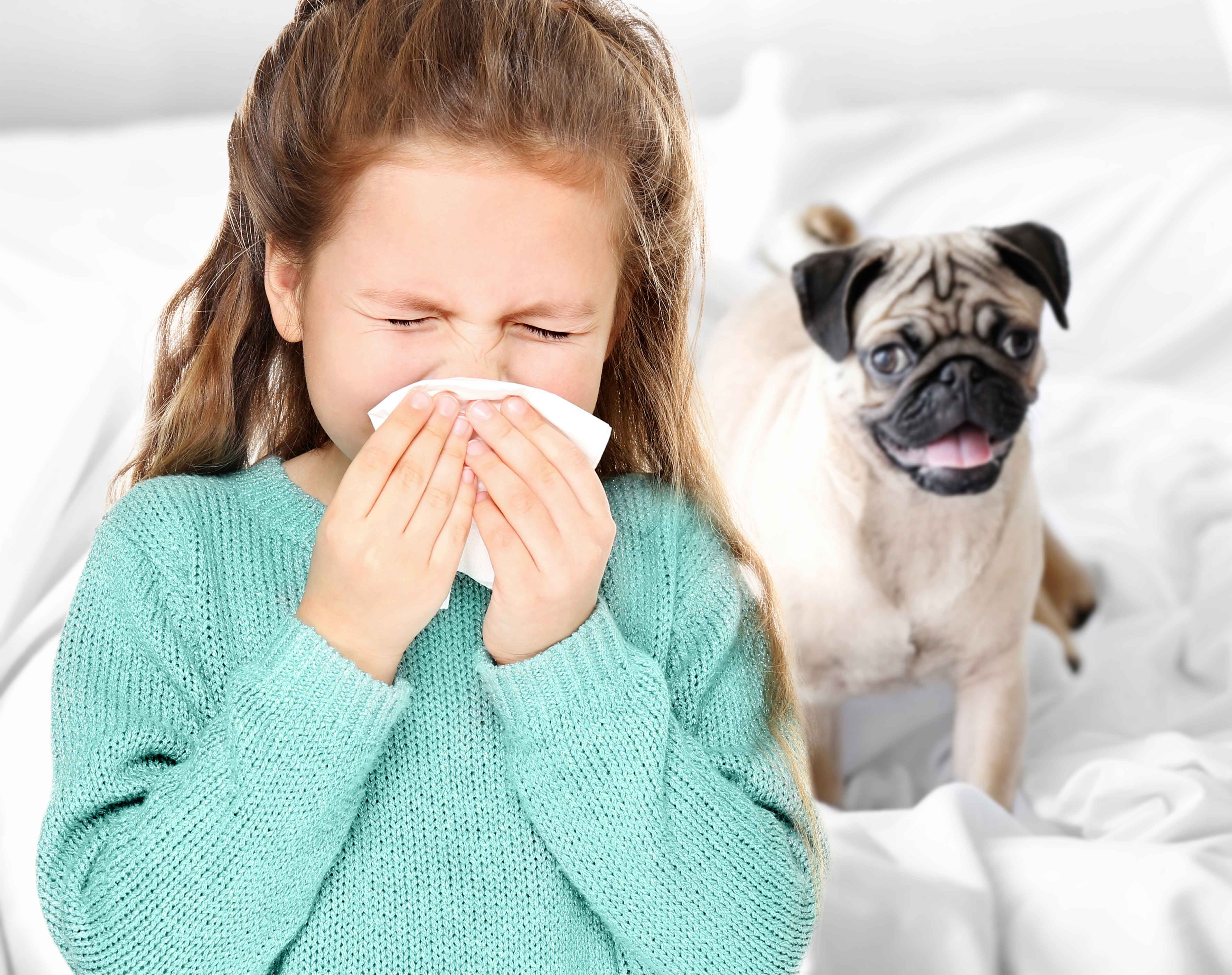 Pet Allergy